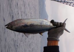 DSC07043.JPG