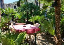 20150623_125057.jpg