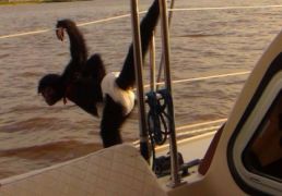 DSC05476.JPG