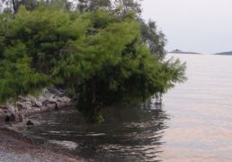 DSC05533.JPG