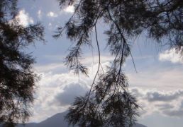 DSC06880.JPG