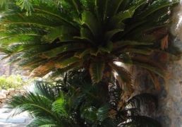 DSC06979.JPG