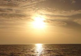 DSC07080.JPG