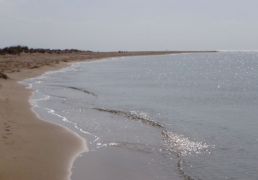 DSC07061.JPG