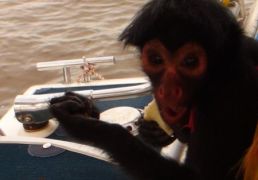 DSC05458.JPG