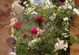 DSC06942.JPG