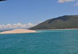 DSC_0705.JPG