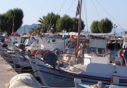 DSC05873.JPG