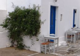 DSC06215.JPG
