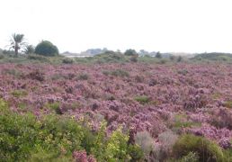 DSC07059.JPG