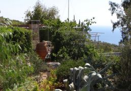DSC05949.JPG