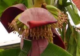 DSC05411.JPG