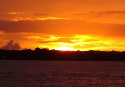 DSC05535.JPG