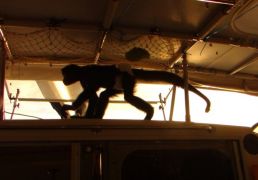 DSC05474.JPG