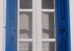 DSC06231.JPG