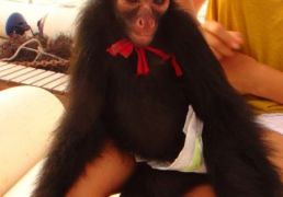 DSC05485.JPG