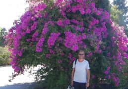 DSC05902.JPG