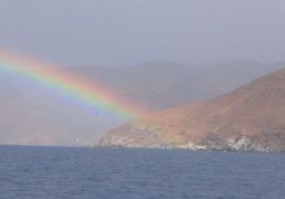 DSC06168.JPG