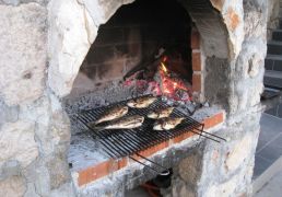 IMG_5320.JPG