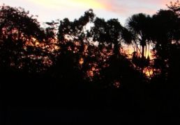 DSC05526.JPG