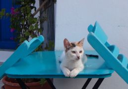 DSC06261.JPG