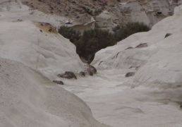 DSC06796.JPG