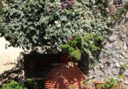 DSC07000.JPG