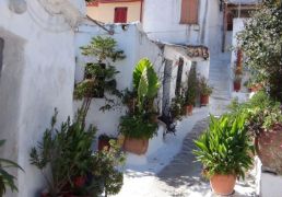 DSC06000.JPG