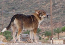 DSC07082.JPG